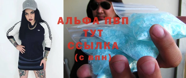 сатива Вязьма