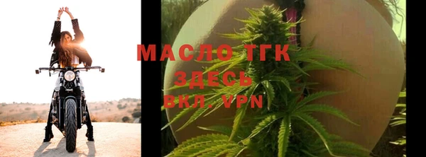 сатива Вязьма