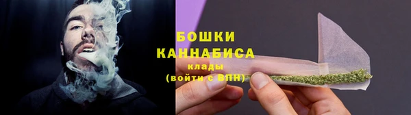 сатива Вязьма