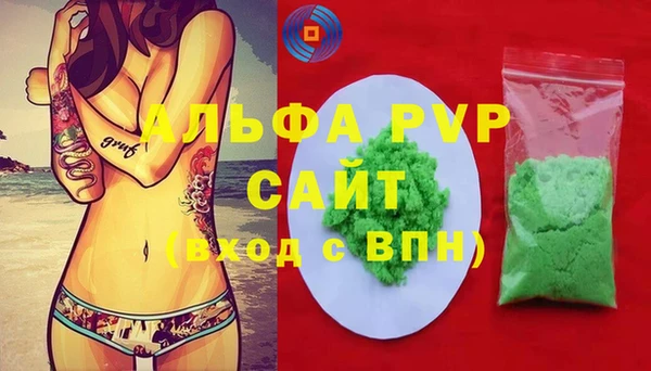 сатива Вязьма