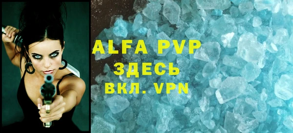 сатива Вязьма