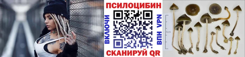 Галлюциногенные грибы GOLDEN TEACHER  Купить где  Тара 